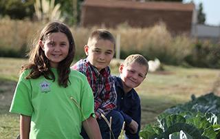 4H students in a field.